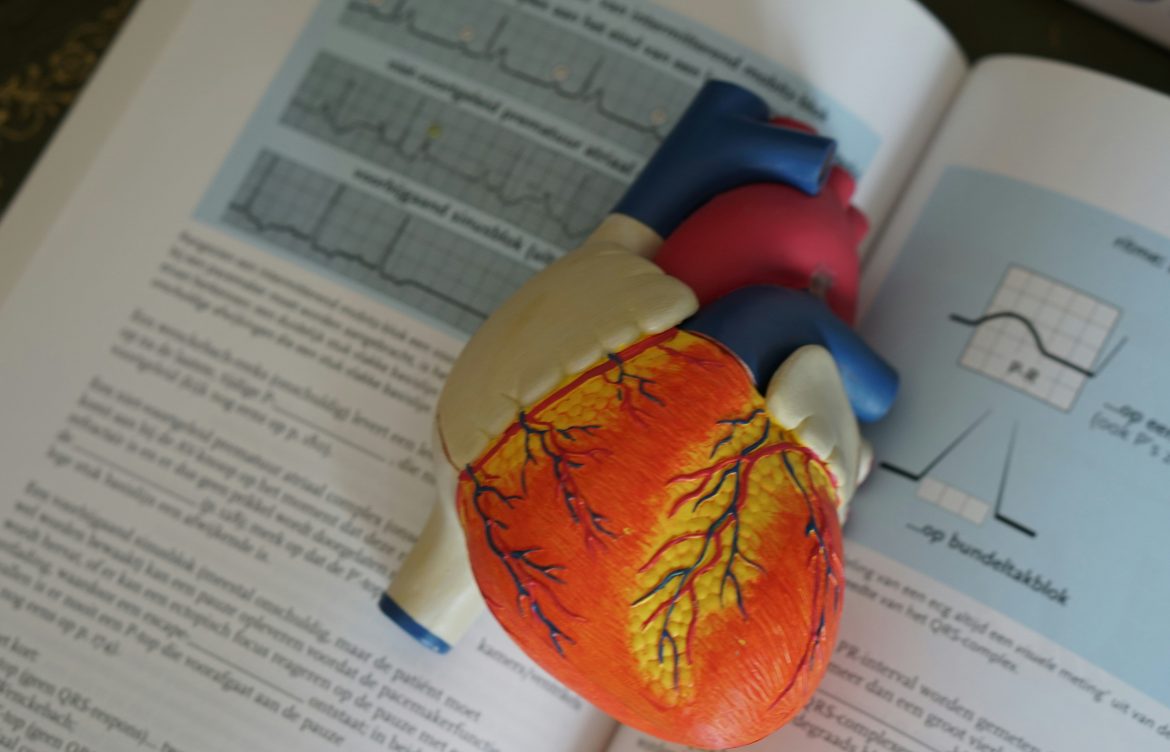 Cardiovascular Health: Essential Tips for a Healthy Heart